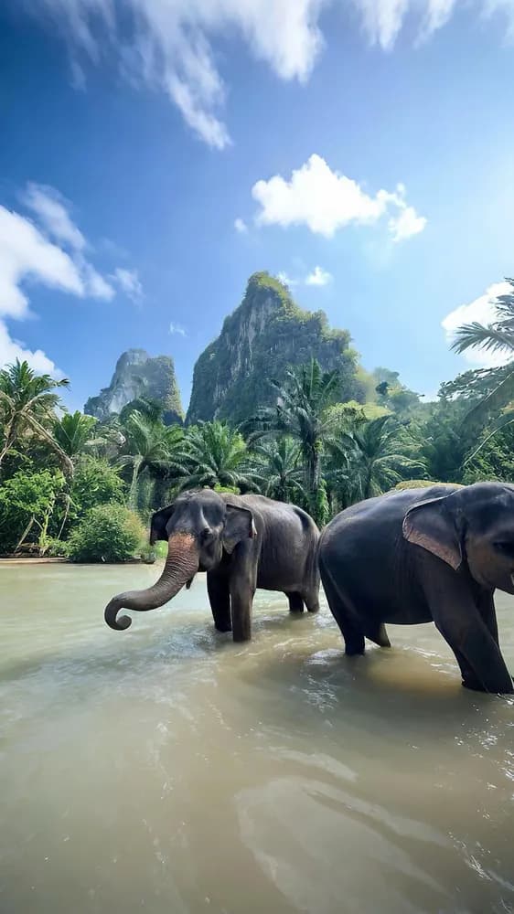 Paisaje tropical de Tailandia